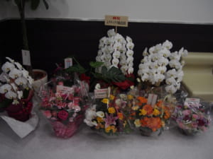 花束02
