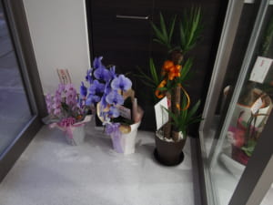 花束03
