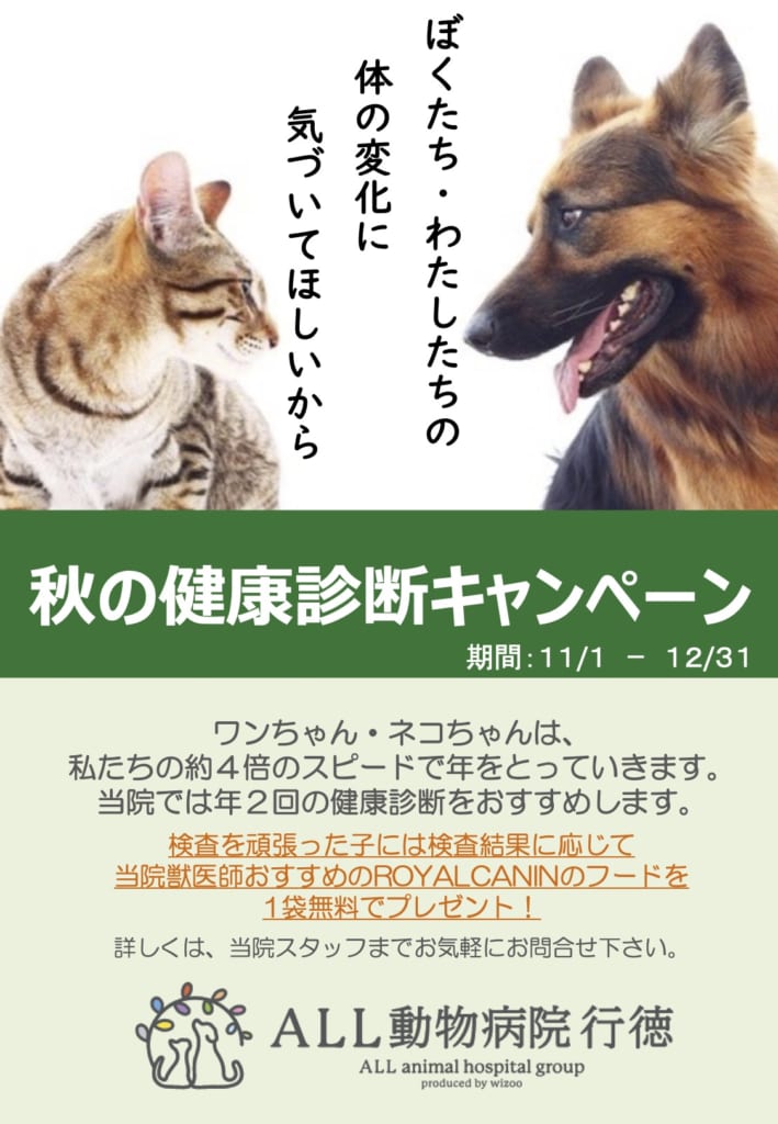 秋の健康診断キャンペーン
