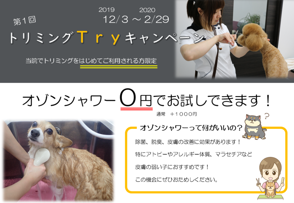 トリミングTryキャンペーン