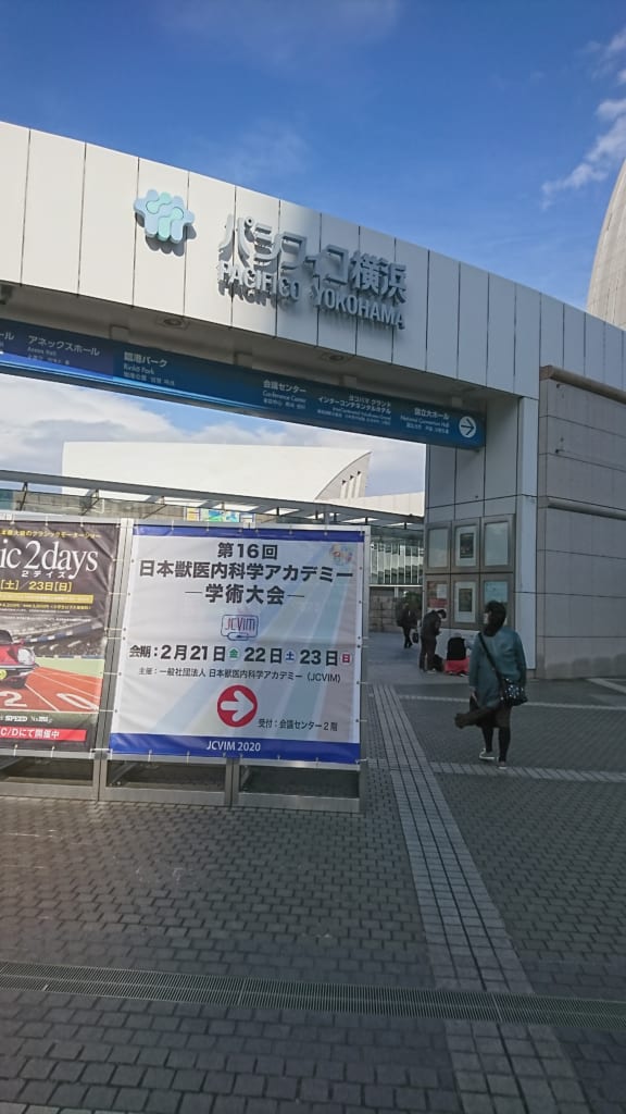 日本獣医内科学アカデミー