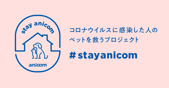 StayAnicomプロジェクト