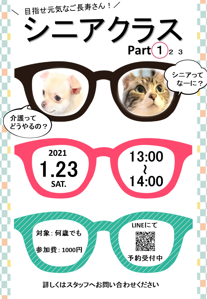 シニアクラス開催
