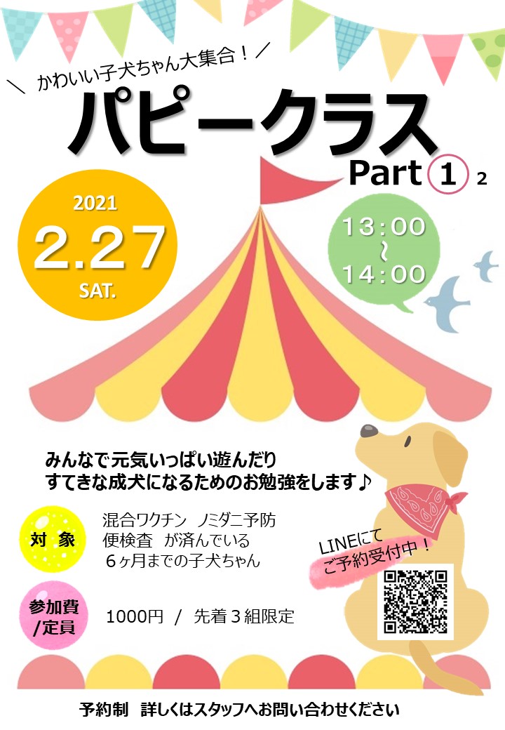 パピークラス
