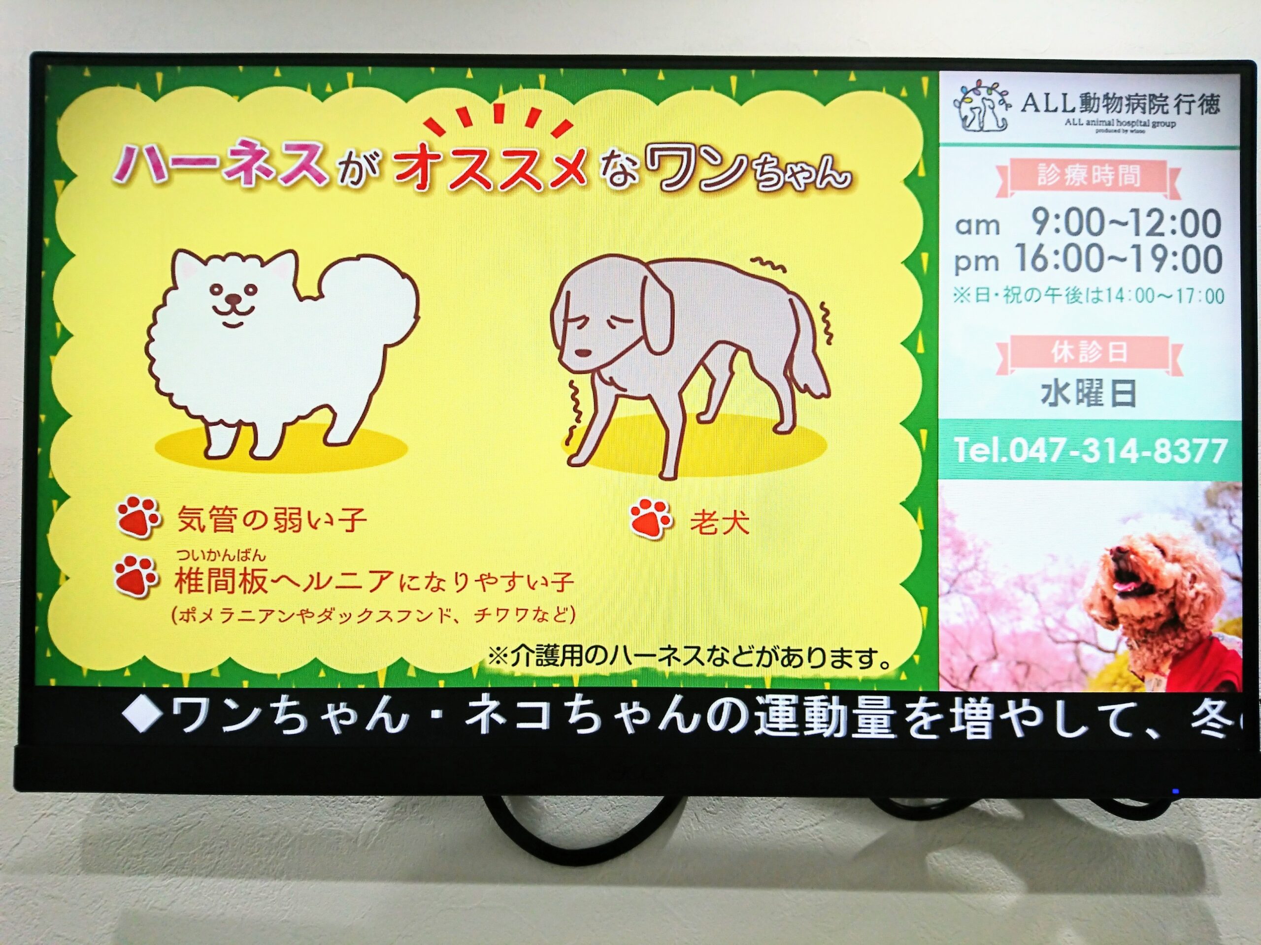 待合室モニター