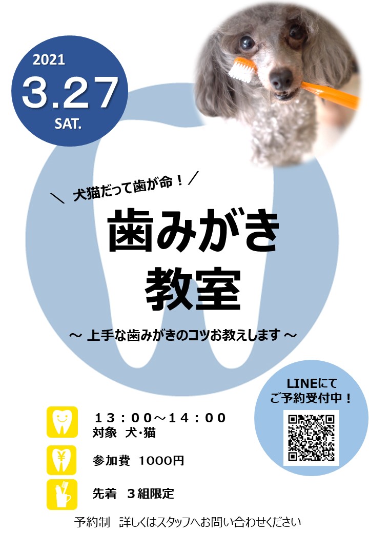 歯磨き教室開催のお知らせ