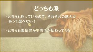 どっちも派