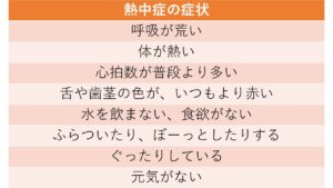 熱中症の症状
