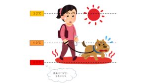 位置による温度の変化