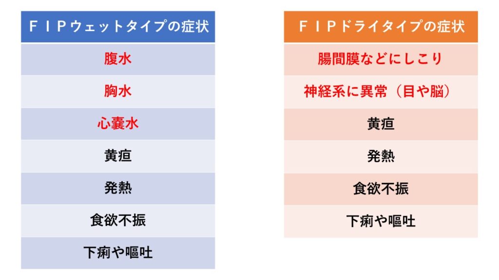FIPウェットタイプとFIPドライタイプの症状