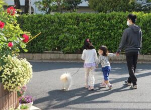 家族で犬と散歩