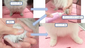 様々な界面活性剤