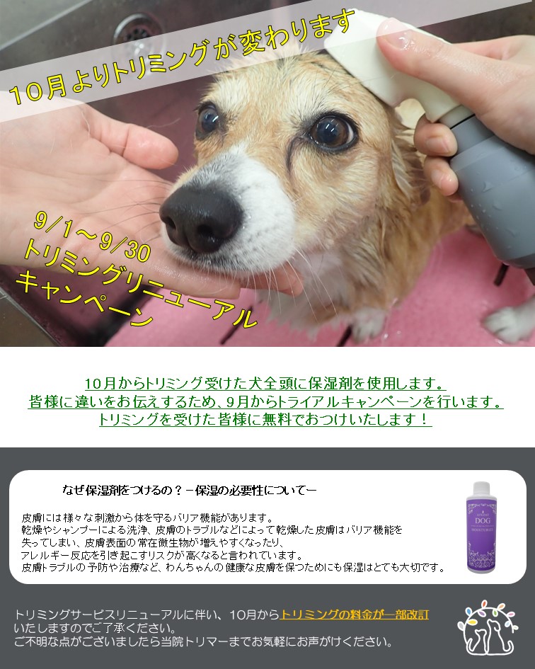 トリミングサービスのリニューアル