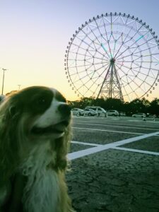 葛西臨海公園