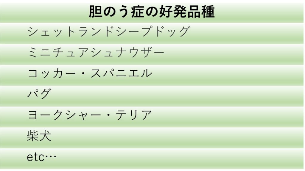 胆嚢症の好発品種