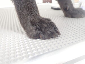 黒っぽい爪