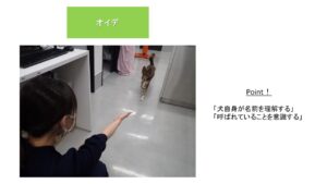 ペットのしつけ04