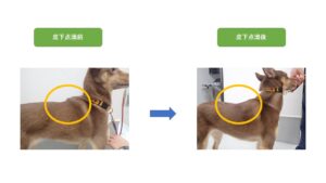 皮下点滴前と皮下点滴後