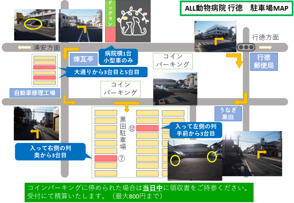 ALL動物病院 行徳の駐車場マップ