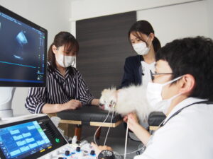 検査