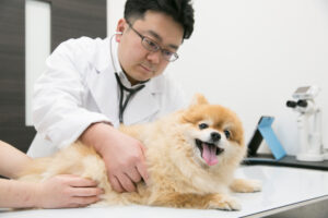 診察
