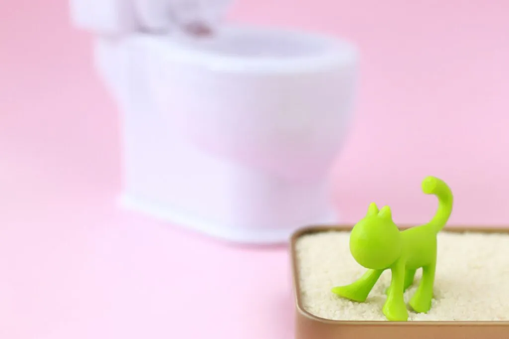 病気予防のためにも重要！猫にとって快適なトイレ環境を整えましょう