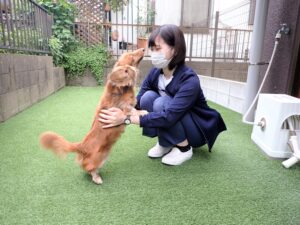 犬とスタッフ