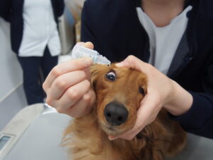 目薬を差す方向