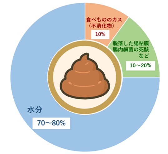 便の組成