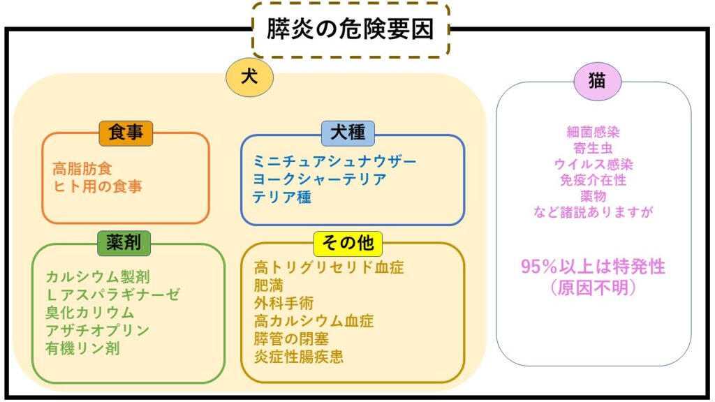 膵炎の危険要因