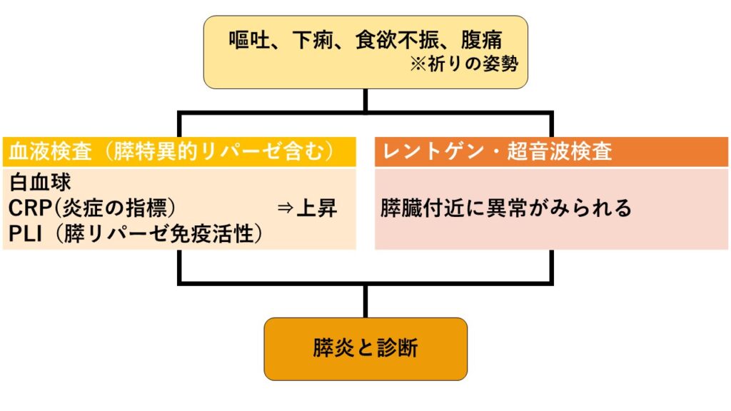 膵炎の診断