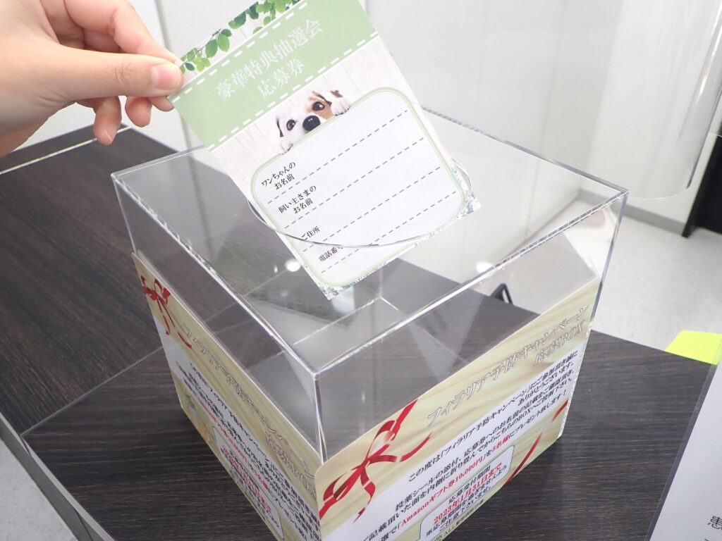 投票箱
