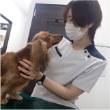増子（愛玩動物看護師）