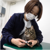 根岸（愛玩動物看護師）