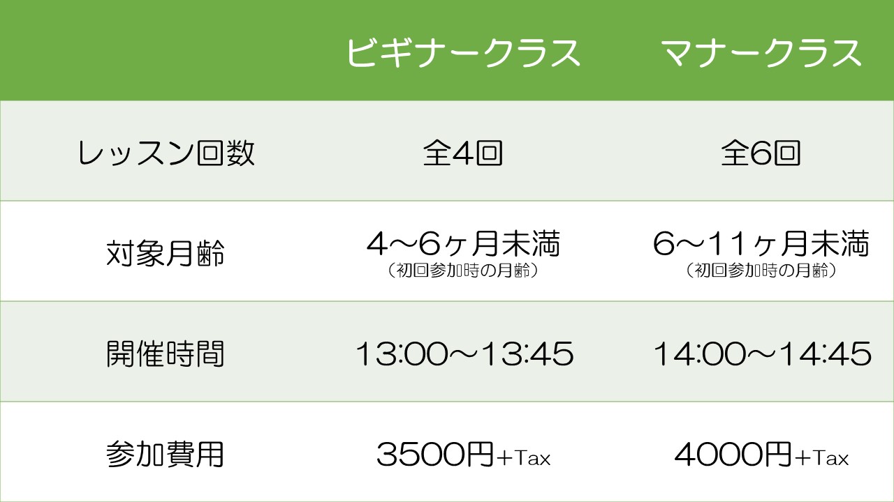 しつけ教室のクラスの違い