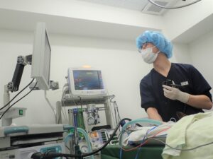 内視鏡を操作する獣医師