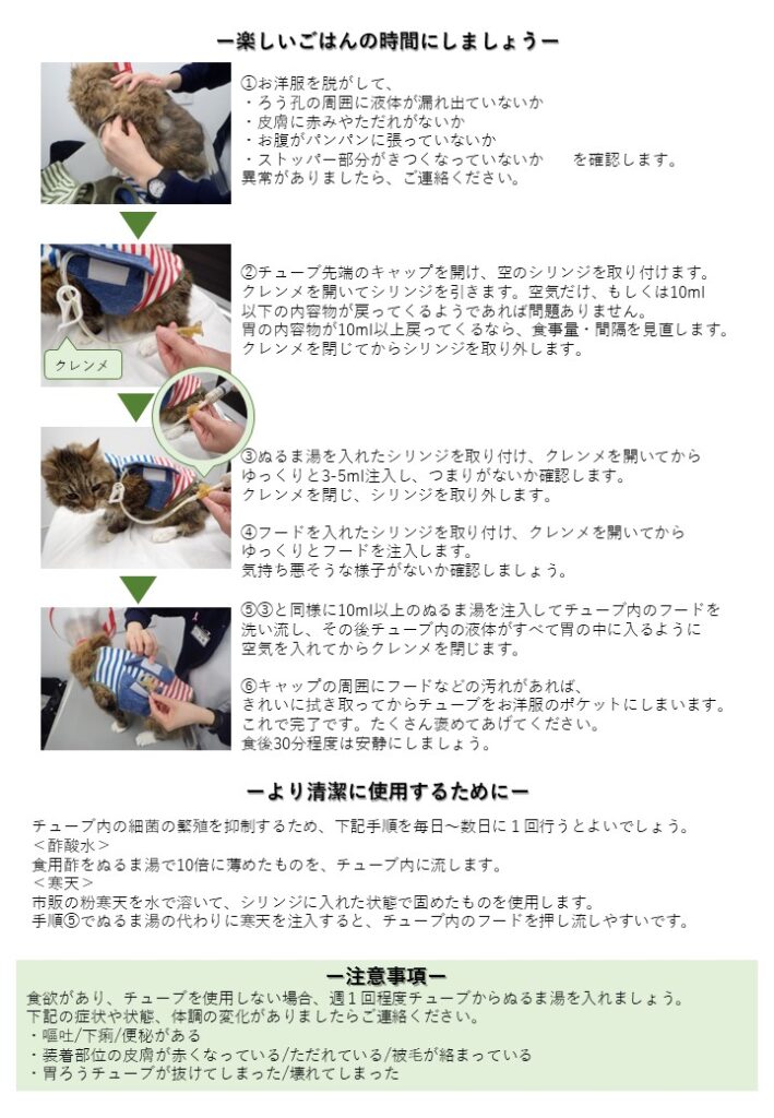 胃瘻チューブの使用方法02