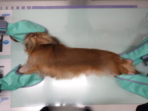 ラテラル