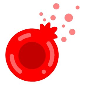 免疫介在性溶血性貧血(IMHA)
