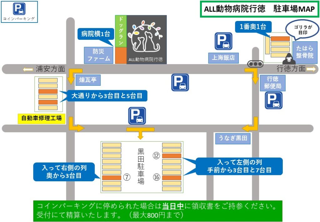 ALL動物病院行徳　駐車場MAP