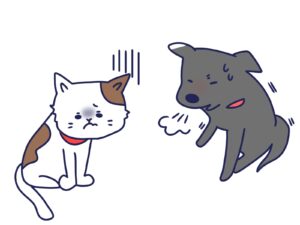 犬や猫が血を吐いた！　～“吐血”と“喀血”の違い～