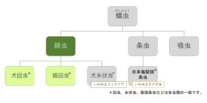 回虫の種類