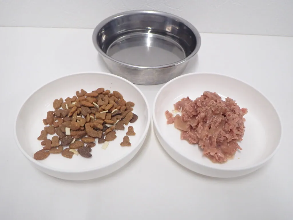 犬や猫のごはんはドライフードとウェットフード、どちらを食べたらいいの？