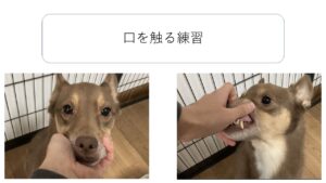 口を触る練習