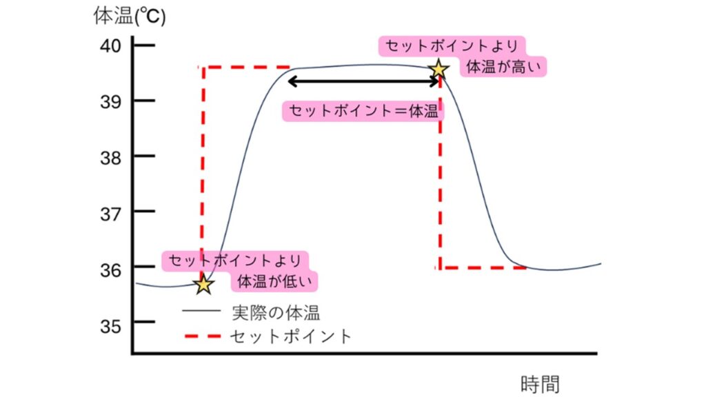 体温とセットポイントの関係