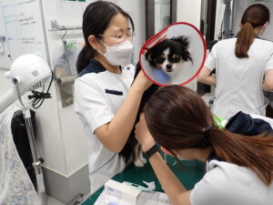 診察の様子
