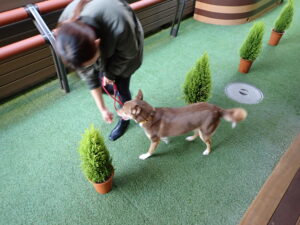 リハビリメニューの練習中02