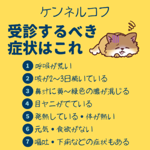 ケンネルコフ　受診するべき症状