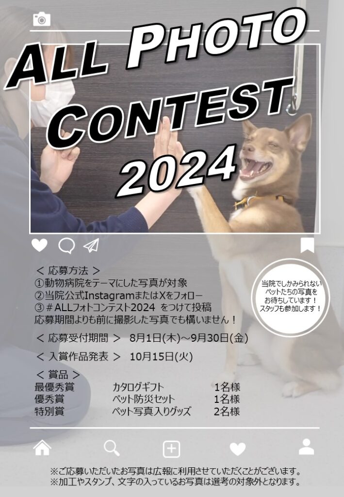 オールフォトコンテスト2024