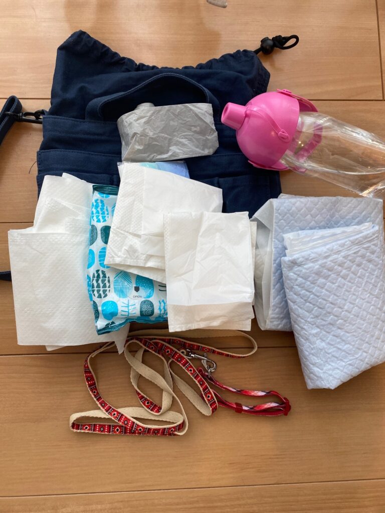 散歩に必要な道具